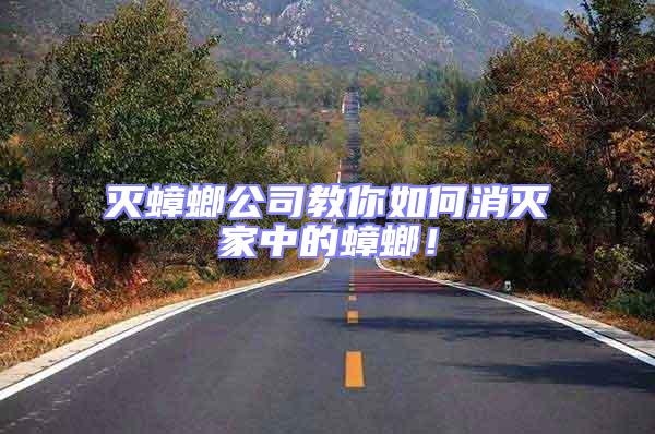 滅蟑螂公司教你如何消滅家中的蟑螂！