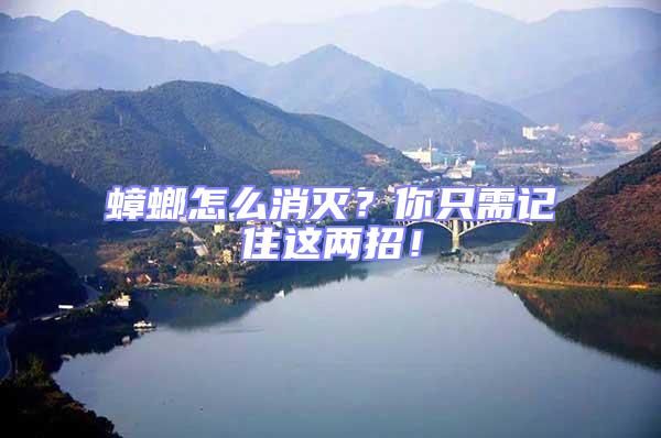蟑螂怎么消滅？你只需記住這兩招！
