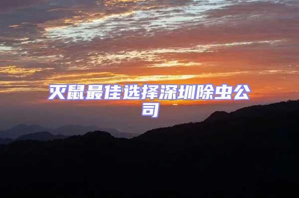 滅鼠最佳選擇深圳除蟲(chóng)公司