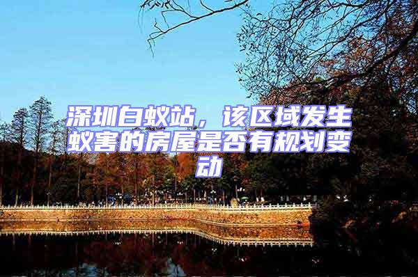 深圳白蟻站,該區域發生蟻害的房屋是否有規劃變動