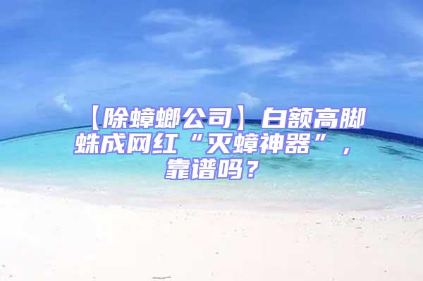 【除蟑螂公司】白額高腳蛛成網紅“滅蟑神器”，靠譜嗎？