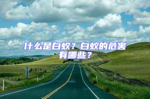 什么是白蟻?白蟻的危害有哪些?
