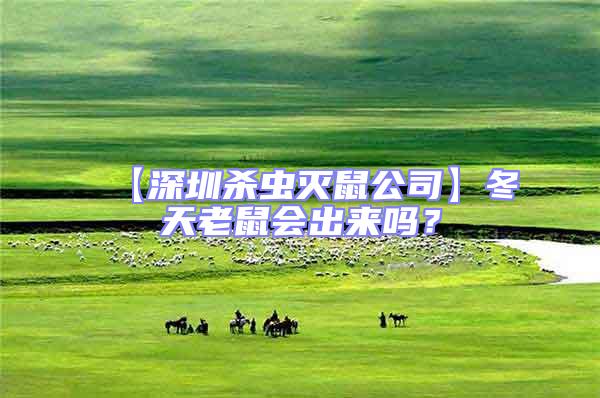 【深圳殺蟲滅鼠公司】冬天老鼠會出來嗎？