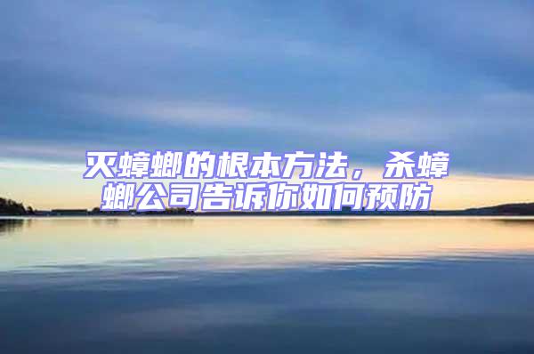 滅蟑螂的根本方法，殺蟑螂公司告訴你如何預(yù)防