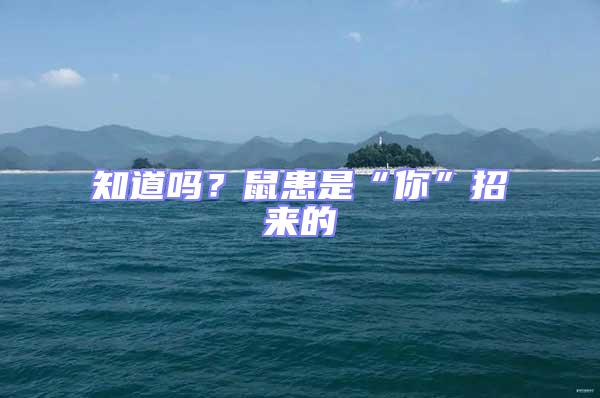 知道嗎？鼠患是“你”招來的