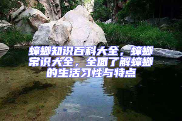 蟑螂知識(shí)百科大全，蟑螂常識(shí)大全，全面了解蟑螂的生活習(xí)性與特點(diǎn)