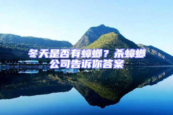 冬天是否有蟑螂？殺蟑螂公司告訴你答案
