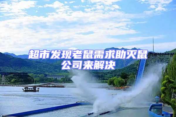超市發現老鼠需求助滅鼠公司來解決
