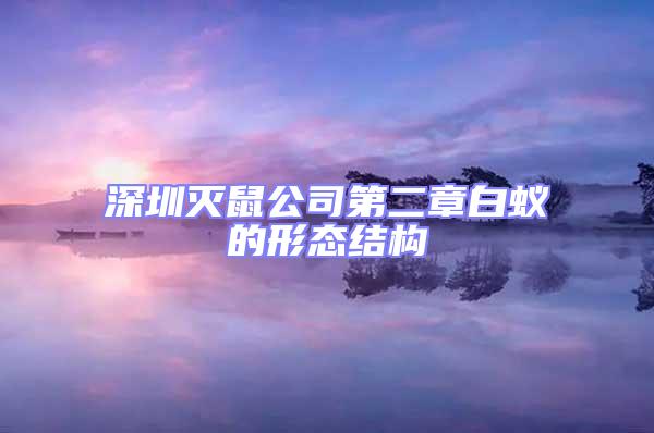 深圳滅鼠公司第二章白蟻的形態(tài)結(jié)構(gòu)