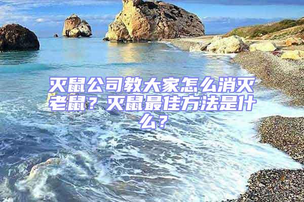 滅鼠公司教大家怎么消滅老鼠？滅鼠最佳方法是什么？