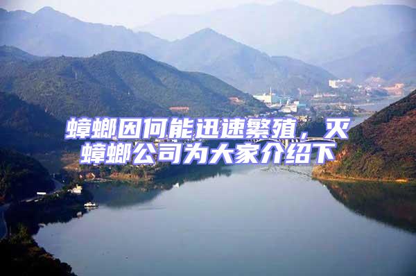蟑螂因何能迅速繁殖，滅蟑螂公司為大家介紹下