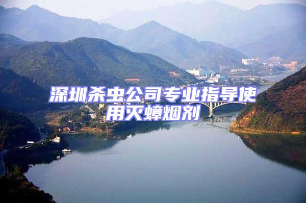 深圳殺蟲公司專業(yè)指導(dǎo)使用滅蟑煙劑