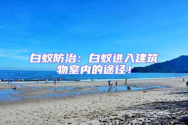 白蟻防治：白蟻進入建筑物室內的途徑！