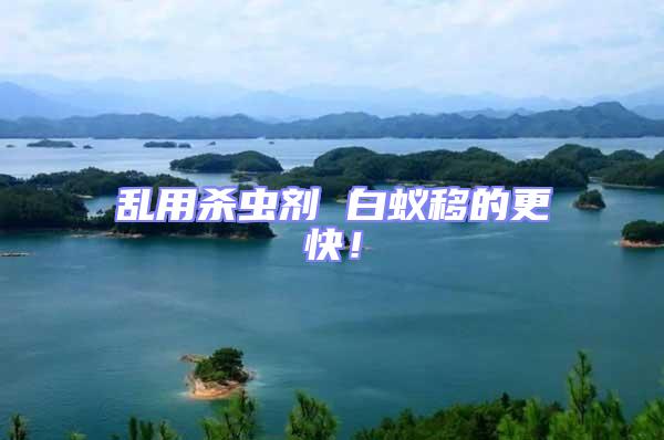 亂用殺蟲劑 白蟻移的更快！