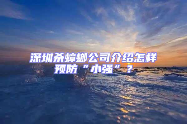 深圳殺蟑螂公司介紹怎樣預(yù)防“小強(qiáng)”？