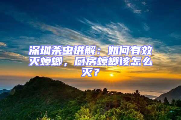 深圳殺蟲(chóng)講解：如何有效滅蟑螂，廚房蟑螂該怎么滅？