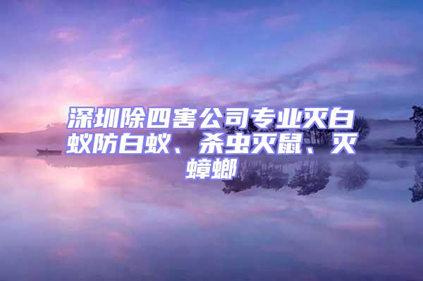 深圳除四害公司專業滅白蟻防白蟻、殺蟲滅鼠、滅蟑螂