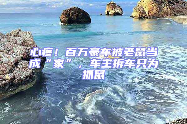 心疼！百萬豪車被老鼠當(dāng)成“家”，車主拆車只為抓鼠
