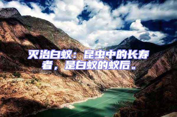 滅治白蟻：昆蟲中的長壽者，是白蟻的蟻后。