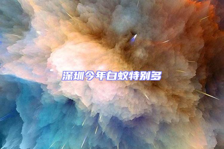 深圳今年白蟻特別多