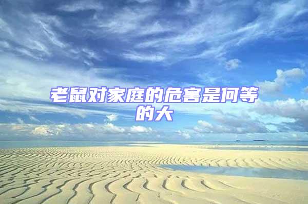老鼠對(duì)家庭的危害是何等的大