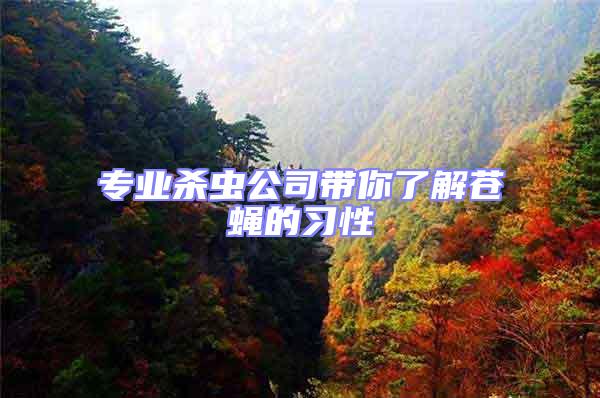 專業(yè)殺蟲公司帶你了解蒼蠅的習(xí)性