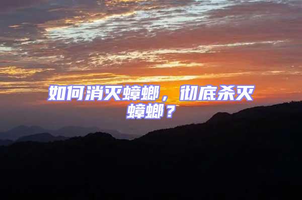 如何消滅蟑螂，徹底殺滅蟑螂？