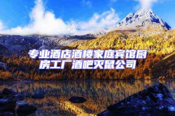 專(zhuān)業(yè)酒店酒樓家庭賓館廚房工廠酒吧滅鼠公司