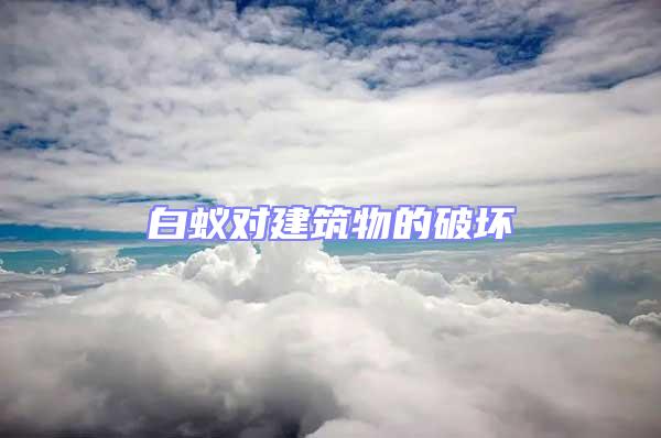 白蟻對(duì)建筑物的破壞