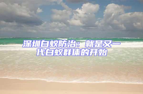 深圳白蟻防治:就是又一代白蟻群體的開始