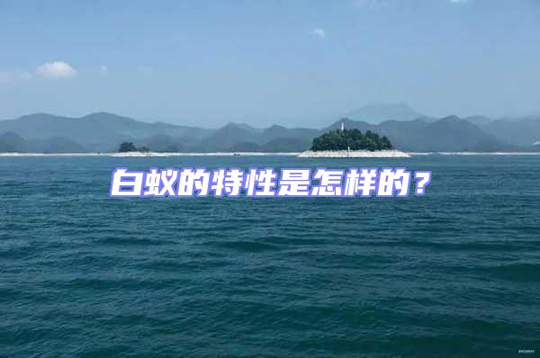 白蟻的特性是怎樣的？