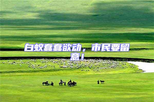 白蟻蠢蠢欲動(dòng)，市民要留意！