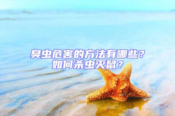 臭蟲危害的方法有哪些？如何殺蟲滅鼠？