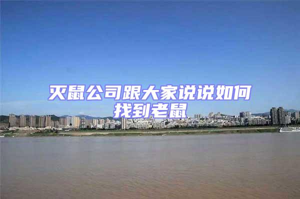 滅鼠公司跟大家說說如何找到老鼠