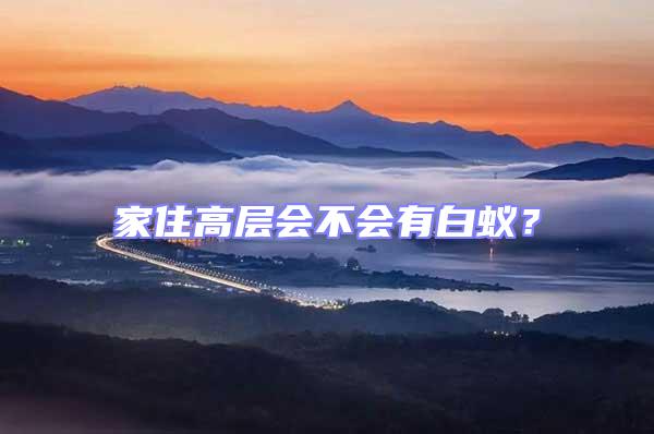 家住高層會不會有白蟻？