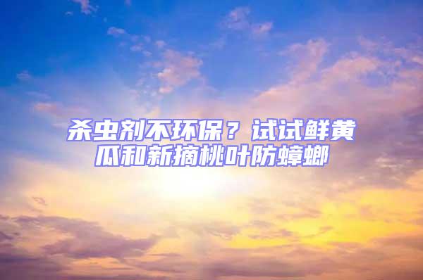 殺蟲劑不環保？試試鮮黃瓜和新摘桃葉防蟑螂