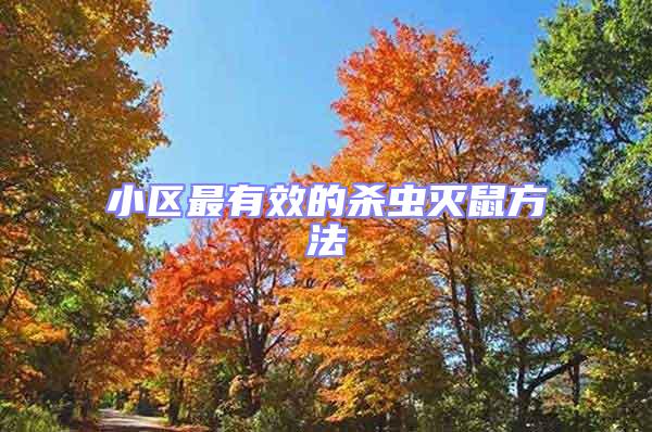 小區最有效的殺蟲滅鼠方法