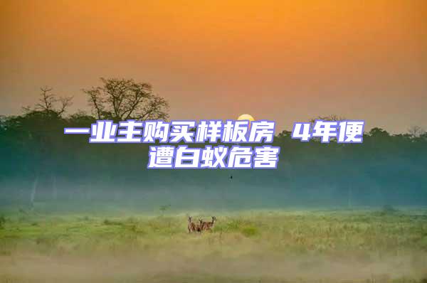 一業(yè)主購買樣板房 4年便遭白蟻危害