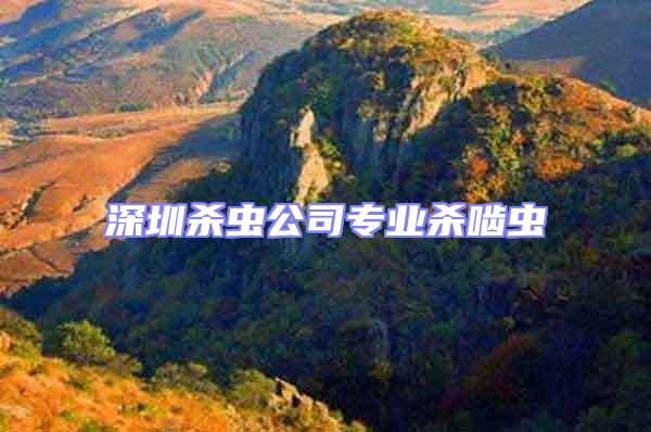 深圳殺蟲(chóng)公司專(zhuān)業(yè)殺嚙蟲(chóng)