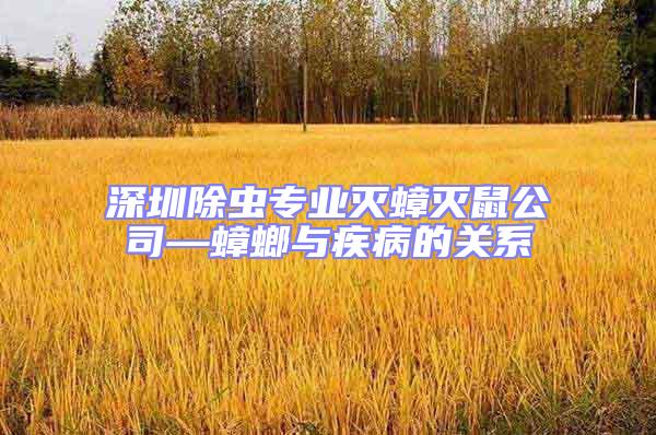 深圳除蟲專業(yè)滅蟑滅鼠公司—蟑螂與疾病的關系