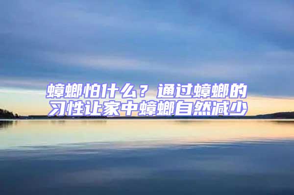 蟑螂怕什么？通過蟑螂的習性讓家中蟑螂自然減少