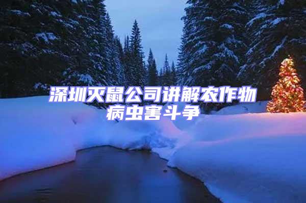 深圳滅鼠公司講解農作物病蟲害斗爭
