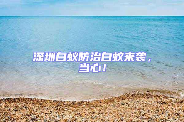 深圳白蟻防治白蟻來襲，當心！