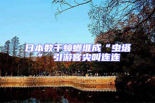日本數千蟑螂堆成“蟲塔” 引游客尖叫連連