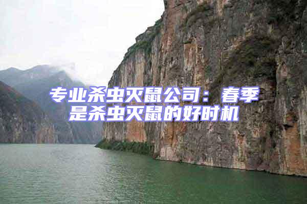 專業(yè)殺蟲滅鼠公司：春季是殺蟲滅鼠的好時機(jī)