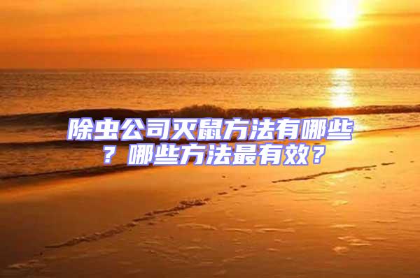 除蟲公司滅鼠方法有哪些？哪些方法最有效？