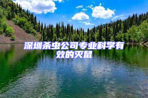深圳殺蟲(chóng)公司專(zhuān)業(yè)科學(xué)有效的滅鼠