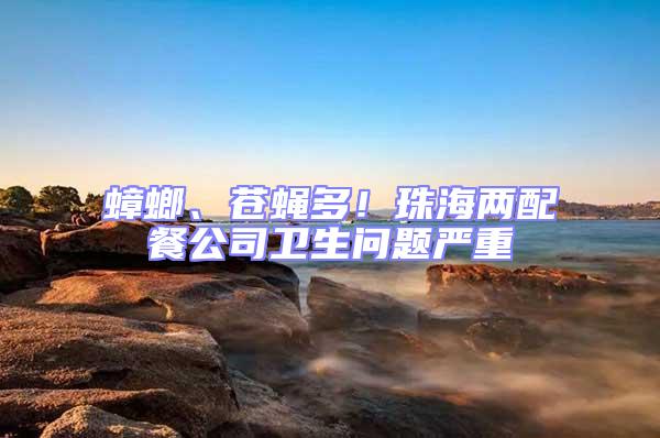 蟑螂、蒼蠅多！珠海兩配餐公司衛生問題嚴重