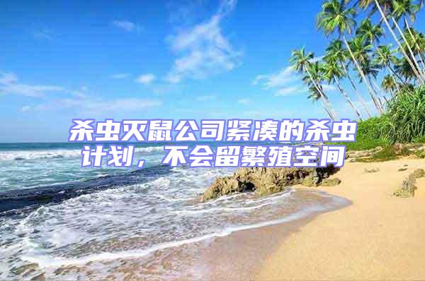 殺蟲(chóng)滅鼠公司緊湊的殺蟲(chóng)計(jì)劃，不會(huì)留繁殖空間
