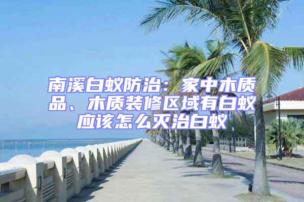 南溪白蟻防治：家中木質品、木質裝修區域有白蟻應該怎么滅治白蟻